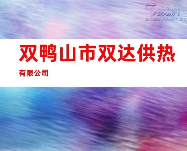 双鸭山市双达供热有限公司